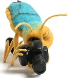 Аватара пользователя