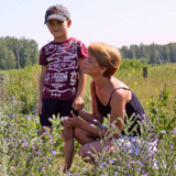 Аватара пользователя