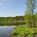 Аватара пользователя